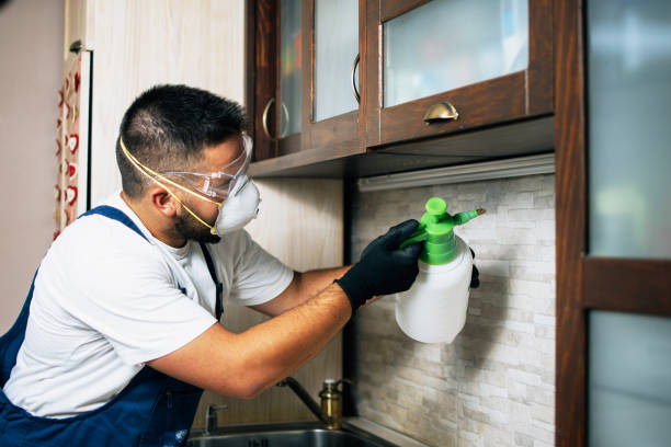 Best Residential Pest Control  in Harlem Heights, FL