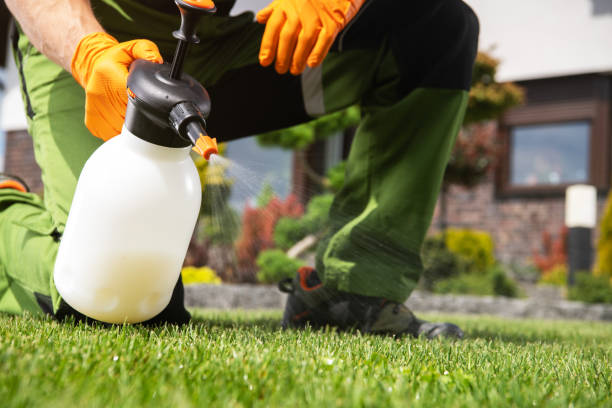 Best Wildlife Control Services  in Harlem Heights, FL