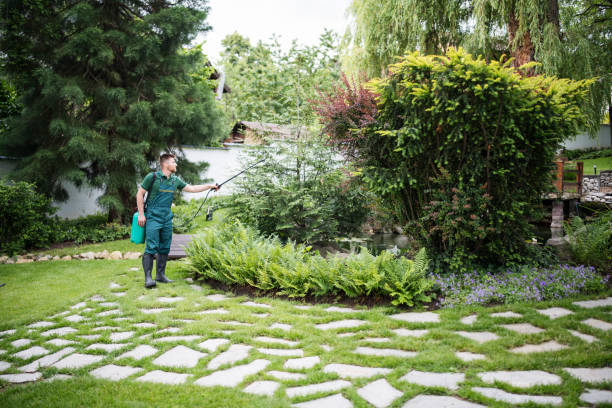 Best Commercial Pest Control Services  in Harlem Heights, FL