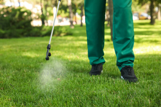 Best Rat Extermination Near Me  in Harlem Heights, FL