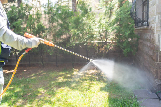 Best Ant Control Services  in Harlem Heights, FL