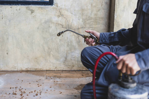 Best Best Pest Control Companies  in Harlem Heights, FL